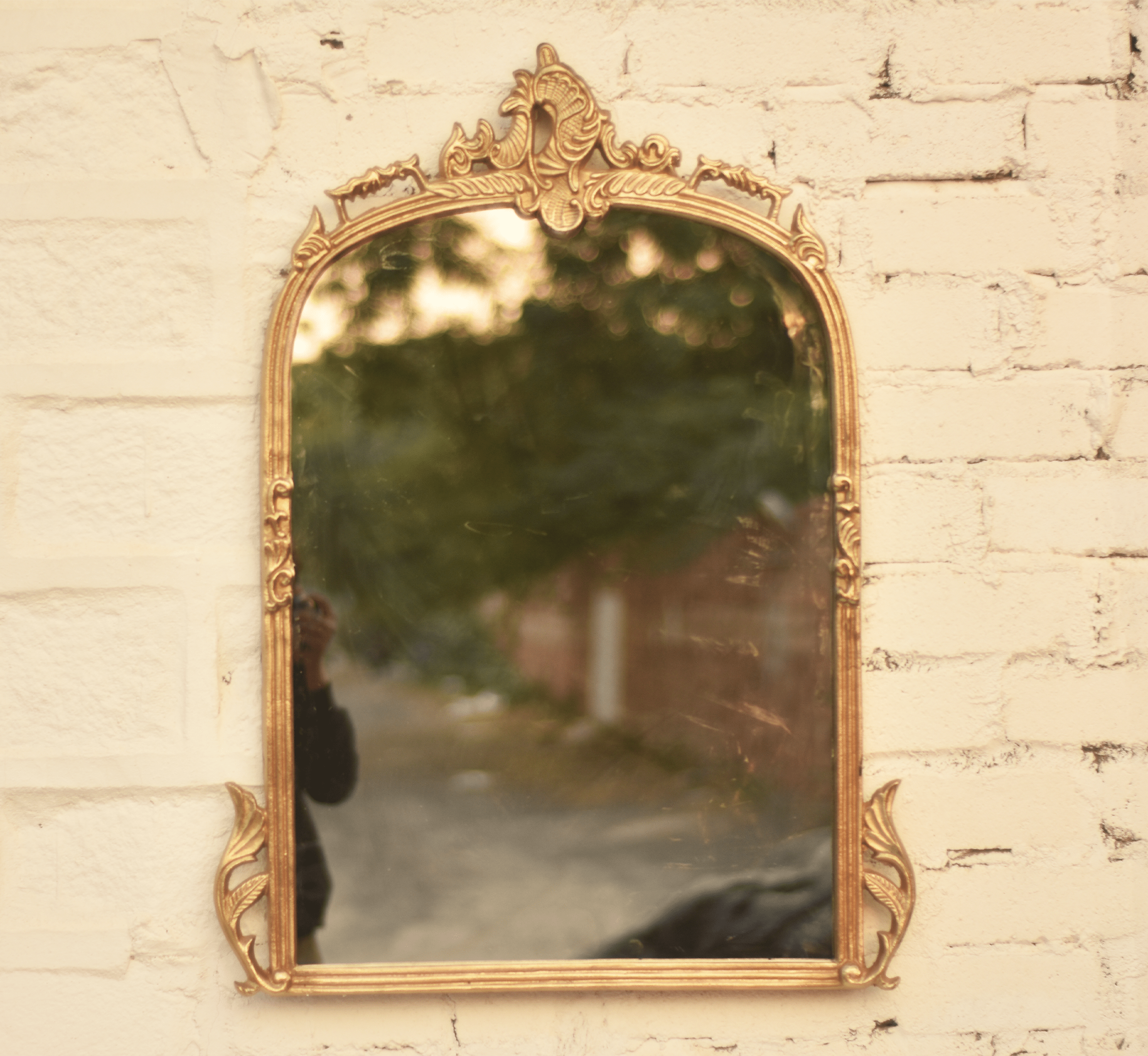 CORSICA DESIGNS Mirrors Victorian Arched Wall Mirror